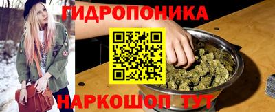 тгк Ипатово