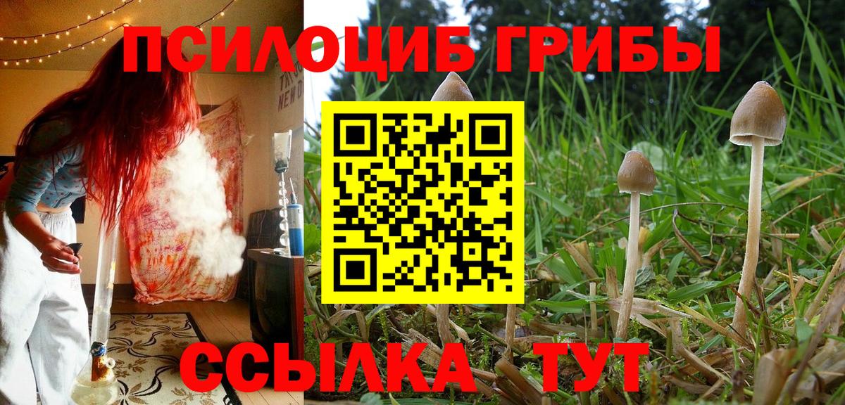 Псилоцибиновые грибы прущие грибы Майский