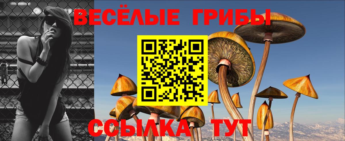 Псилоцибиновые грибы мицелий  Галлюциногенные грибы Psilocybe  Майский  где продают наркотики  Вход с VPN 